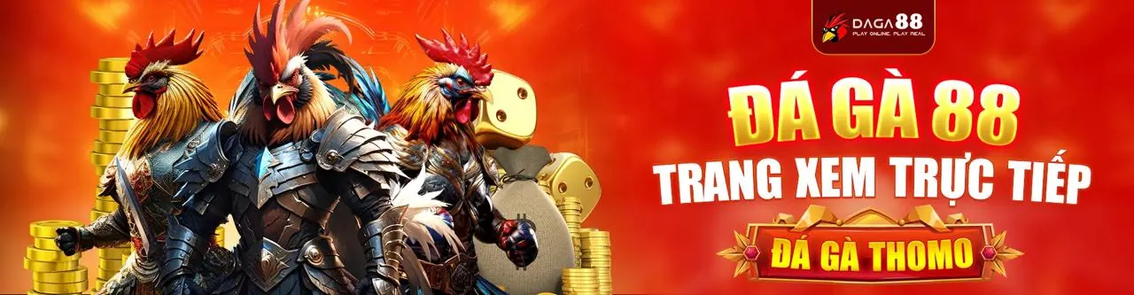 Sân đấu đá gà trực tuyến v6bet khuyến mãi